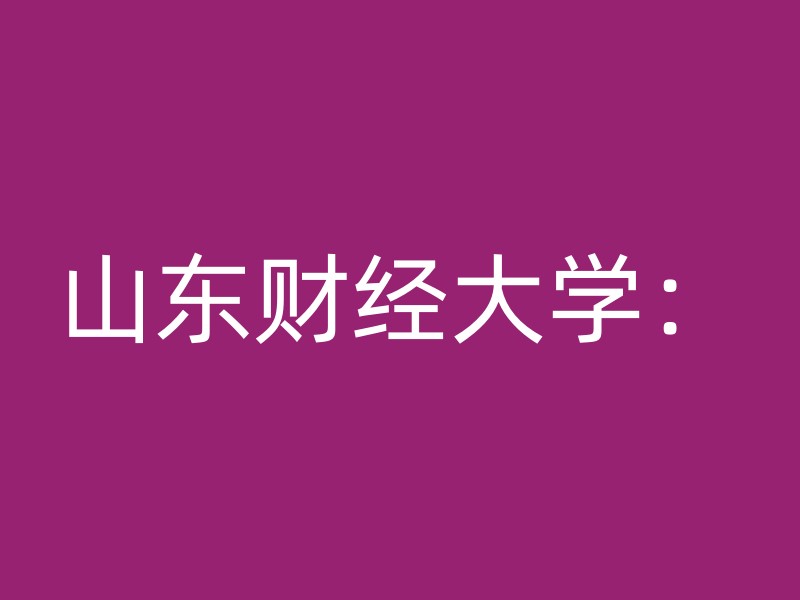 山东财经大学：