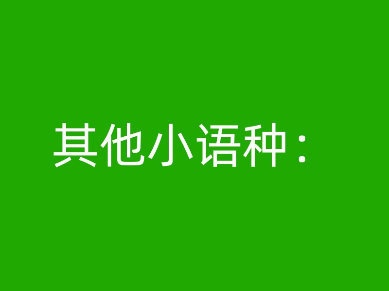 其他小语种：