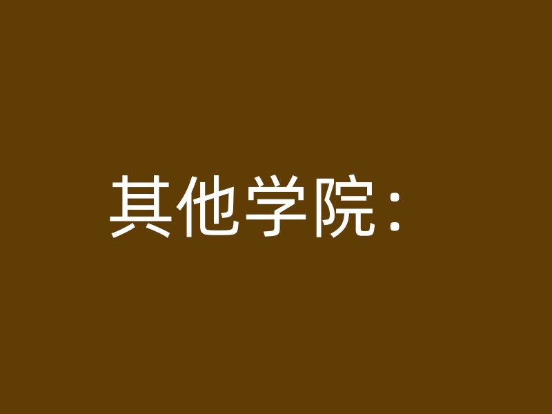 其他学院：