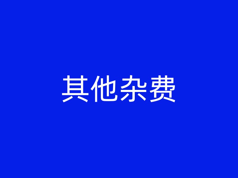 其他杂费