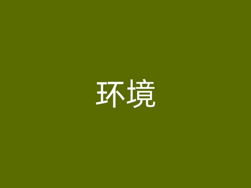 环境