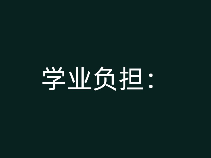 学业负担：