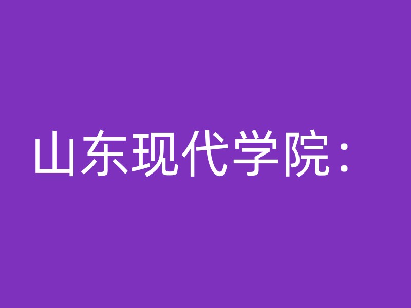 山东现代学院：