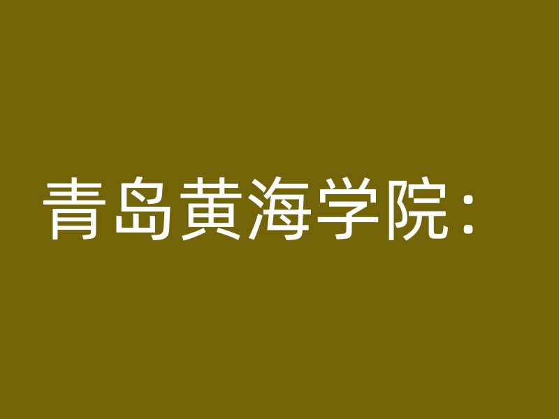 青岛黄海学院：