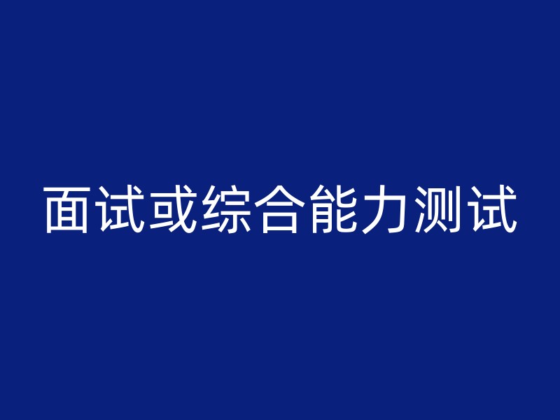 面试或综合能力测试