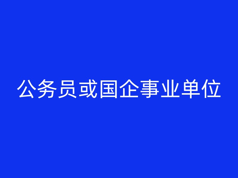 公务员或国企事业单位