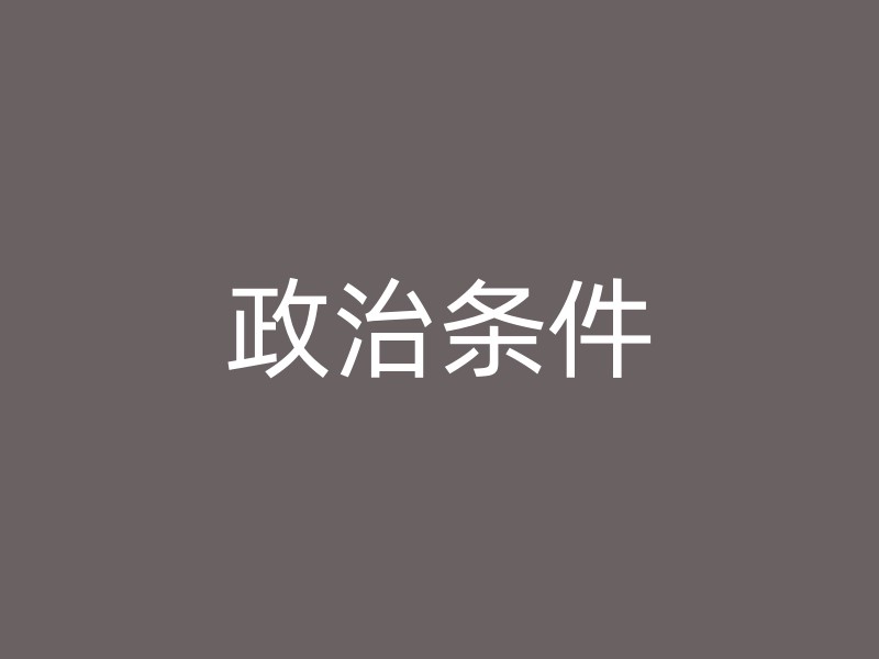 政治条件