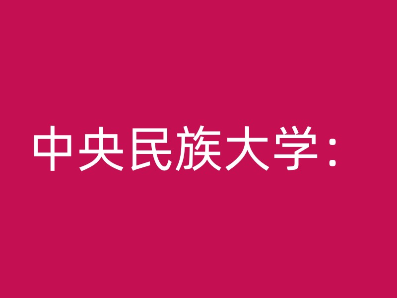 中央民族大学：