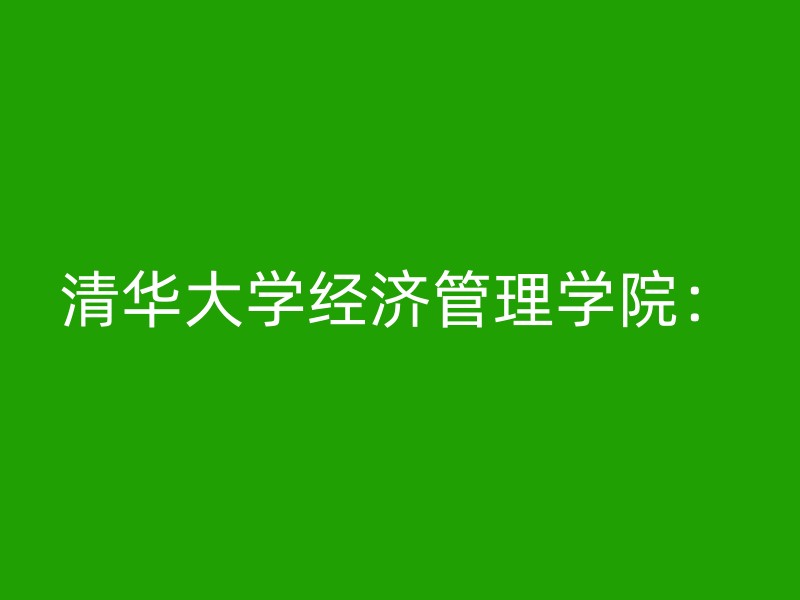 清华大学经济管理学院：