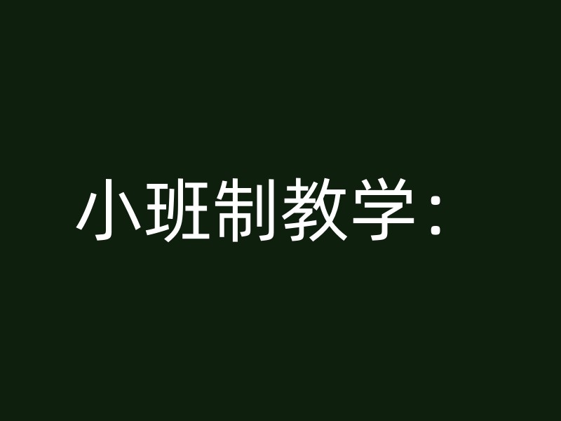 小班制教学：