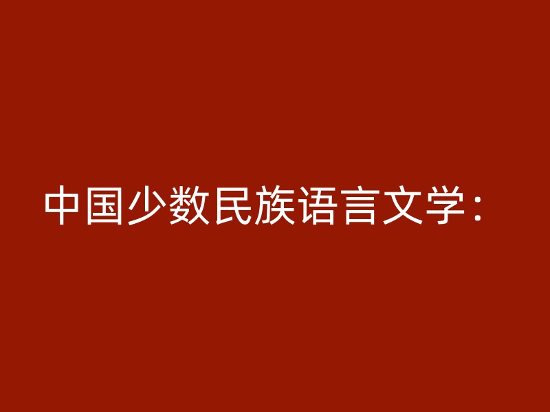 中国少数民族语言文学：