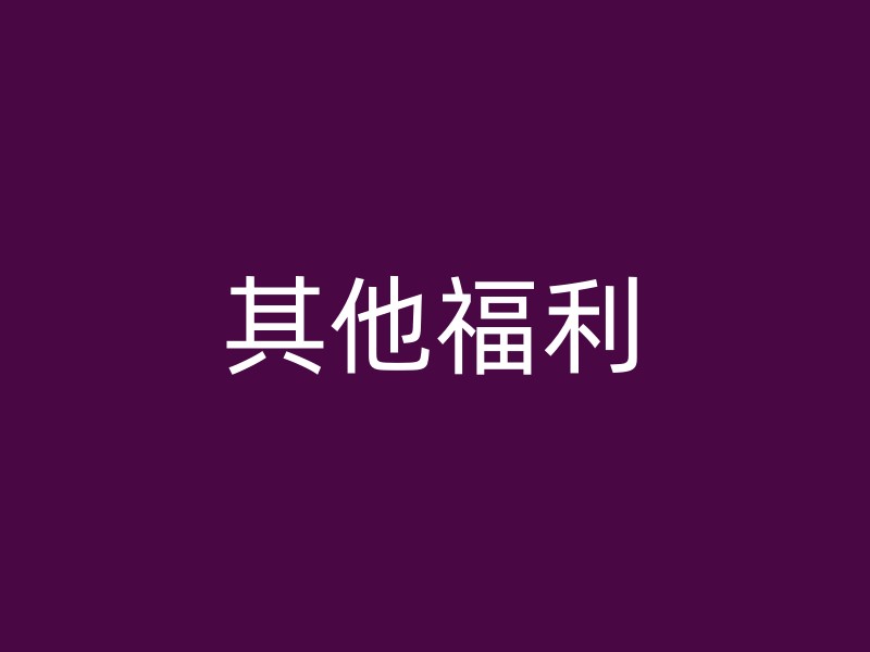 其他福利