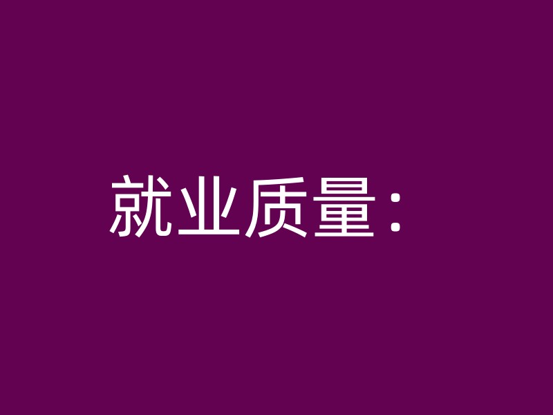 就业质量：