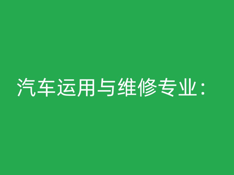 汽车运用与维修专业：