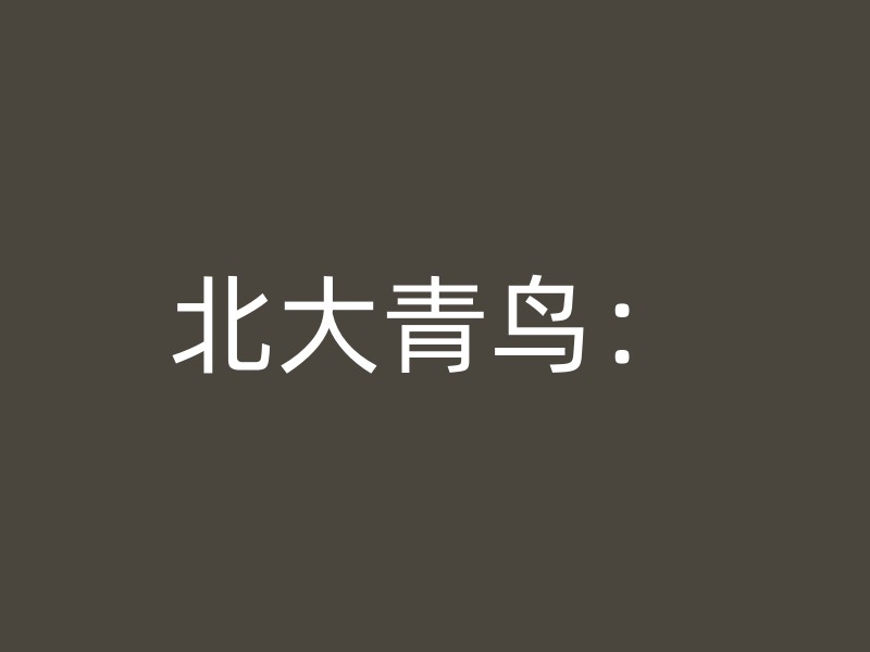 北大青鸟：