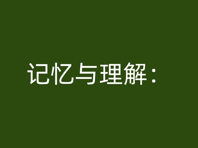 记忆与理解：