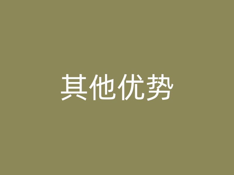 其他优势