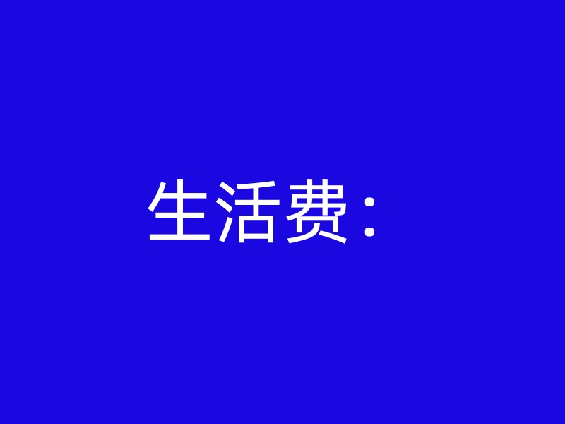 生活费：