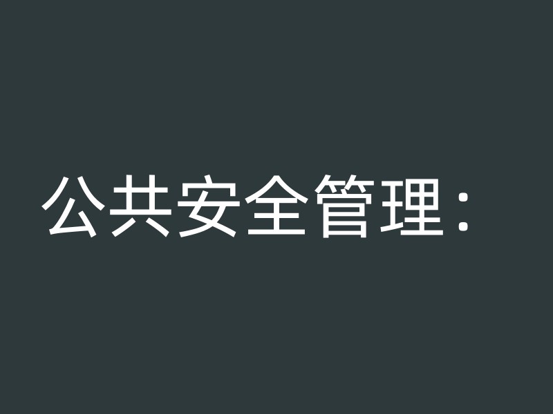 公共安全管理：