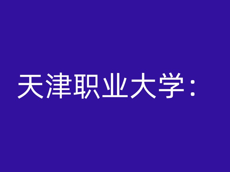 天津职业大学：