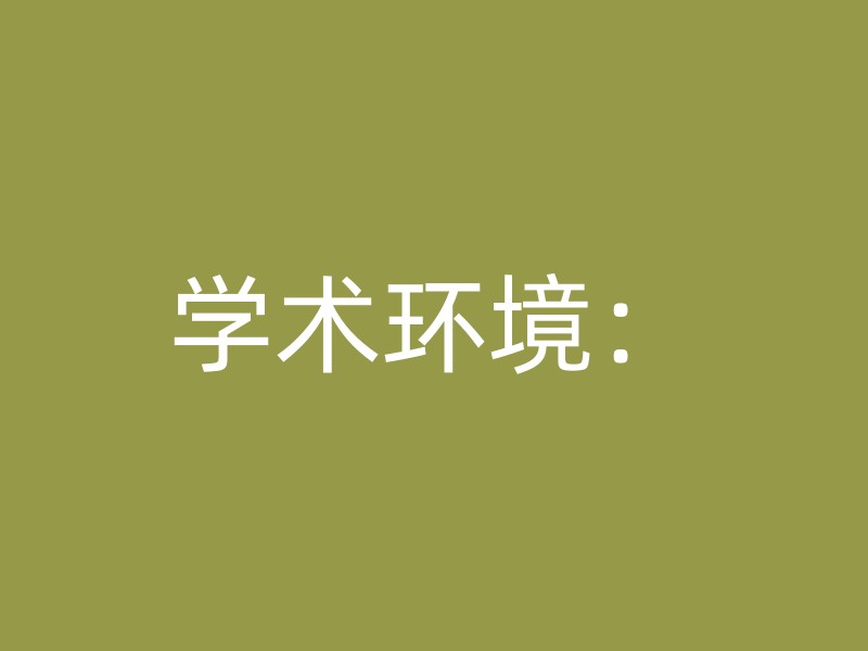 学术环境：