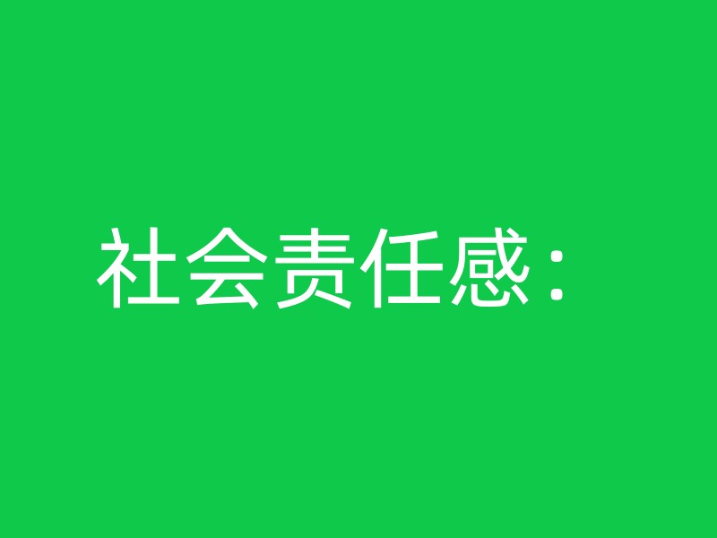 社会责任感：