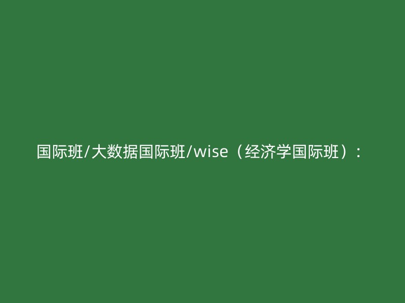 国际班/大数据国际班/wise（经济学国际班）：