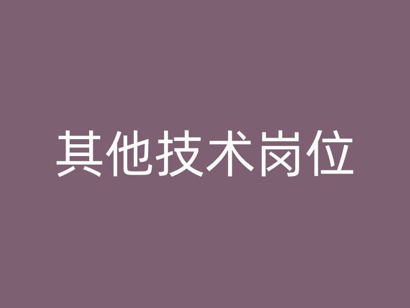 其他技术岗位