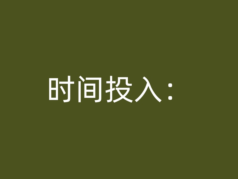 时间投入：