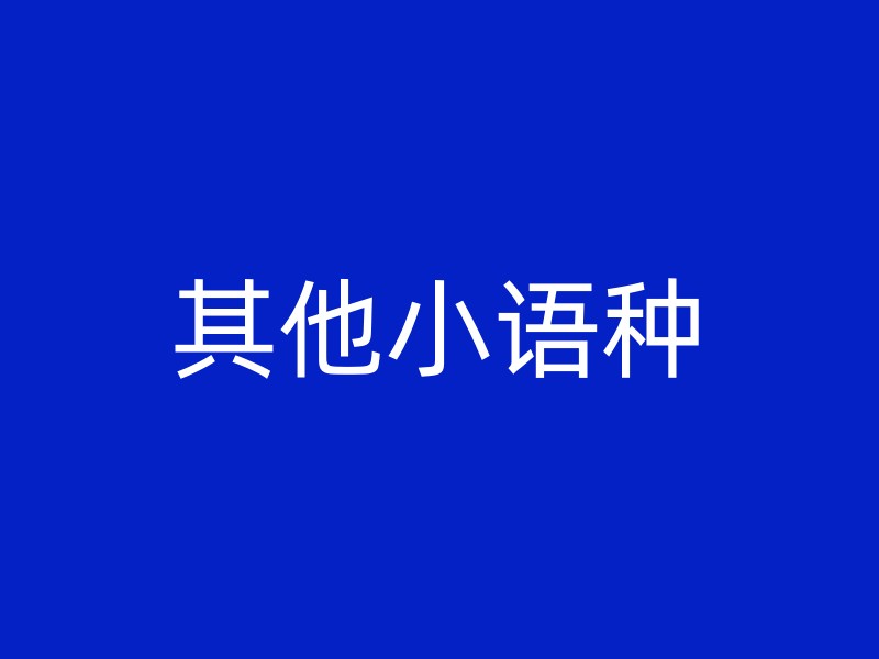 其他小语种