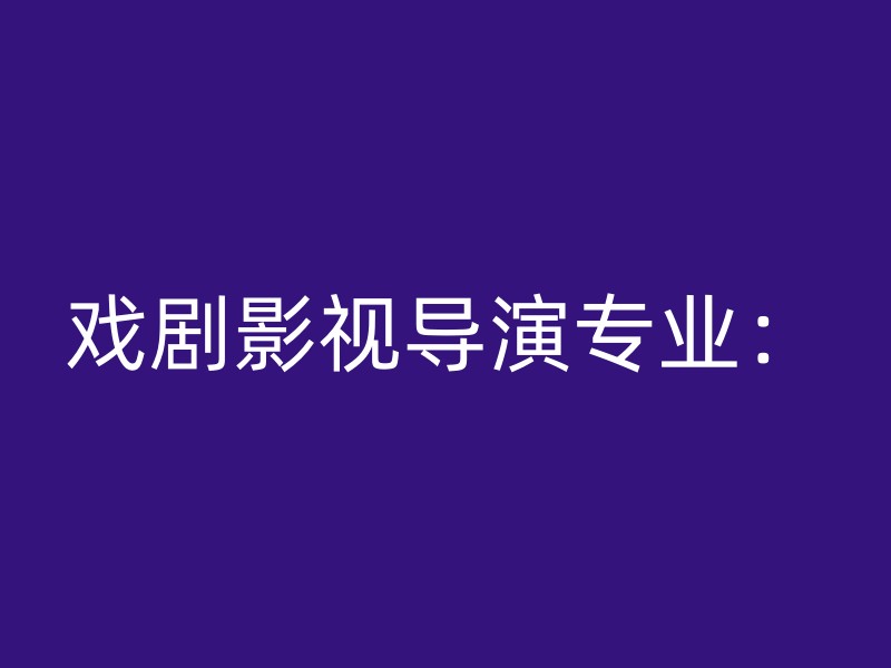 戏剧影视导演专业：