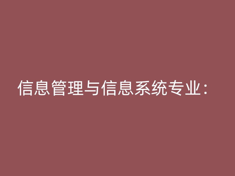 信息管理与信息系统专业：