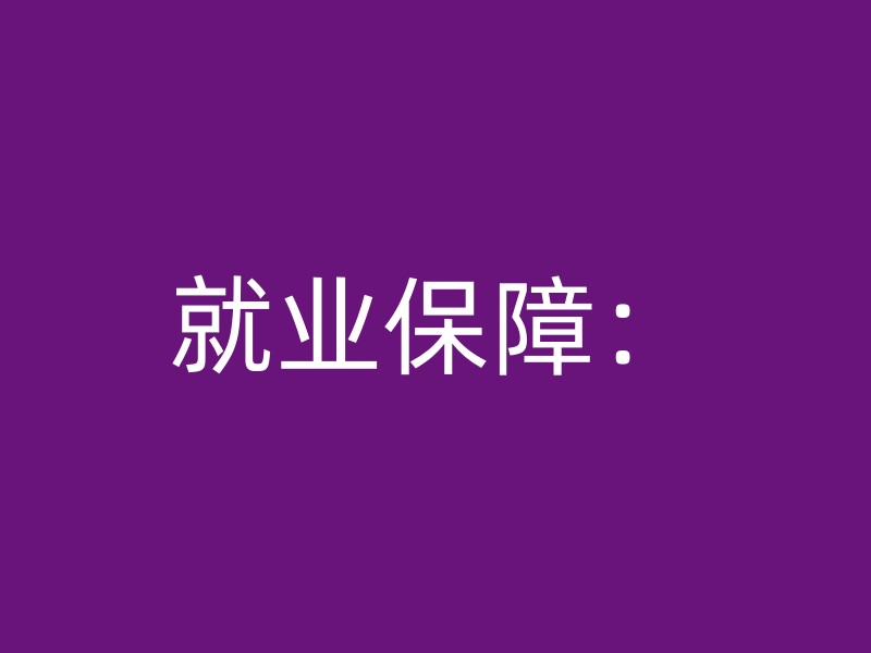 就业保障：