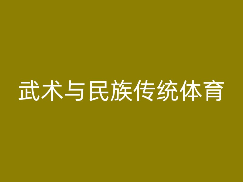 武术与民族传统体育