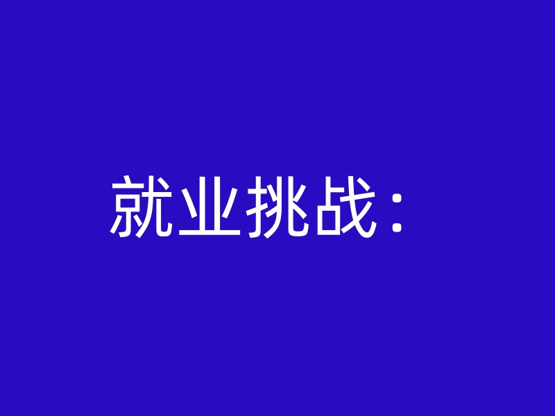 就业挑战：