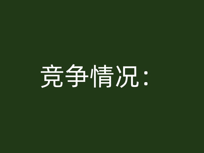 竞争情况：