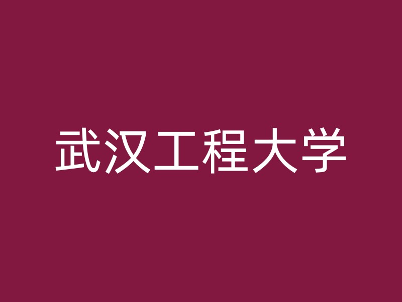 武汉工程大学