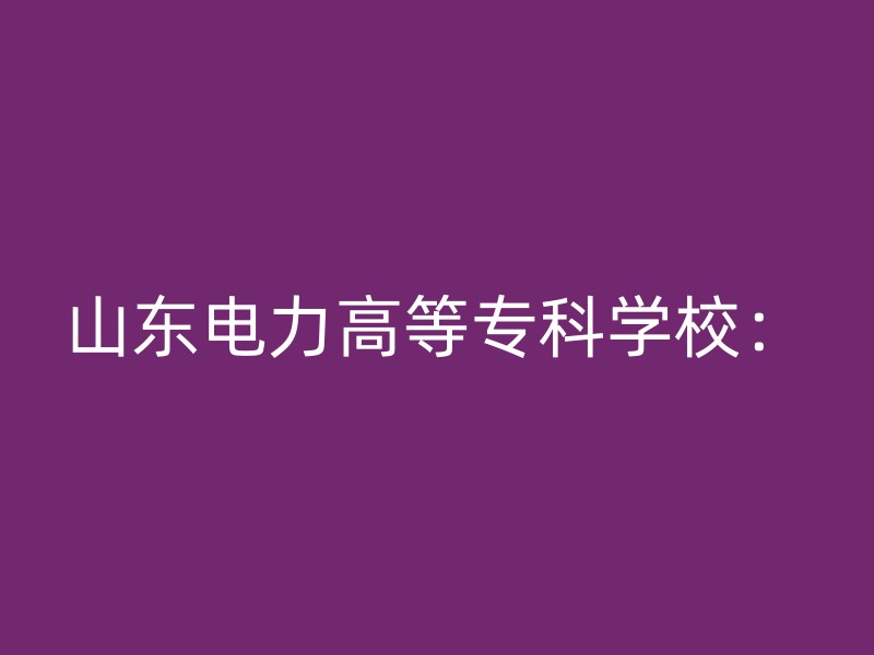 山东电力高等专科学校：