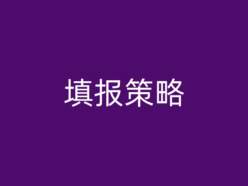 填报策略