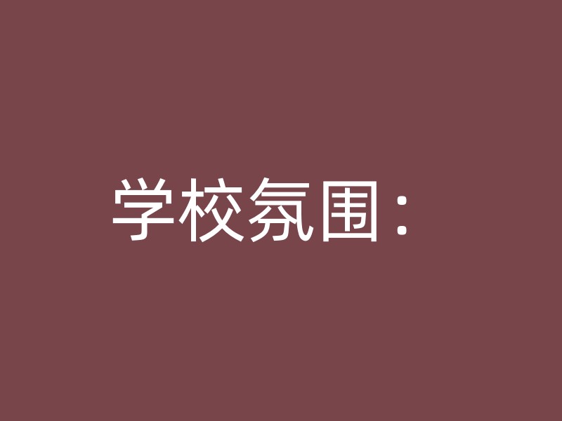 学校氛围：