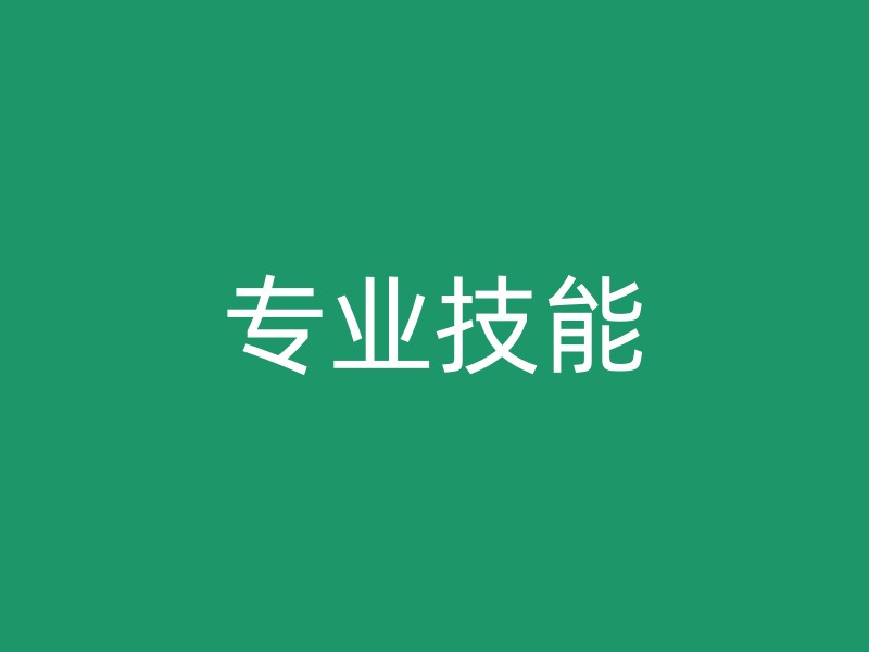 专业技能