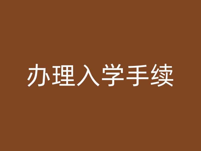 办理入学手续