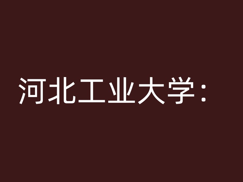 河北工业大学：