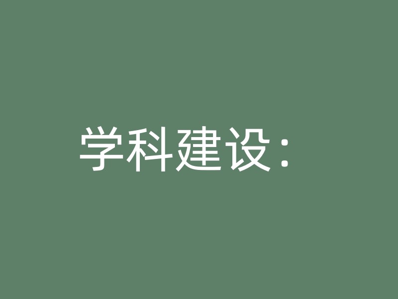 学科建设：