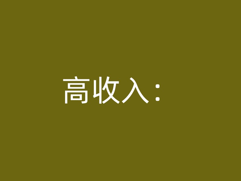 高收入：