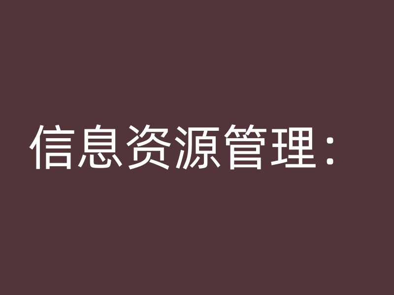 信息资源管理：