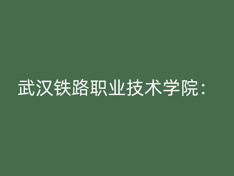 武汉铁路职业技术学院：