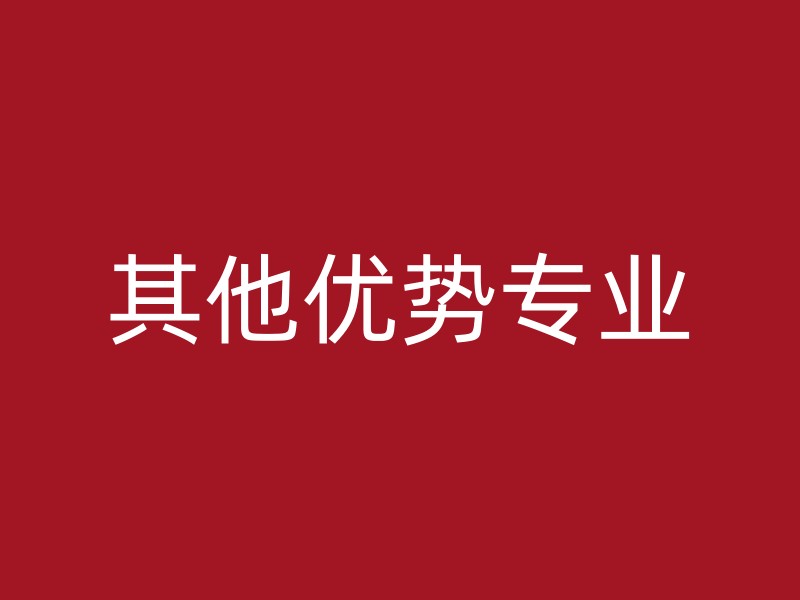 其他优势专业