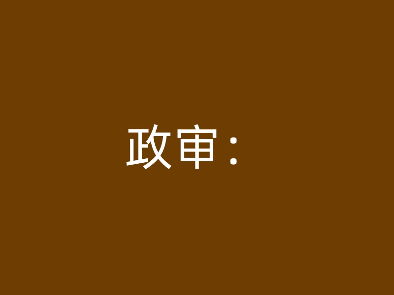 政审：