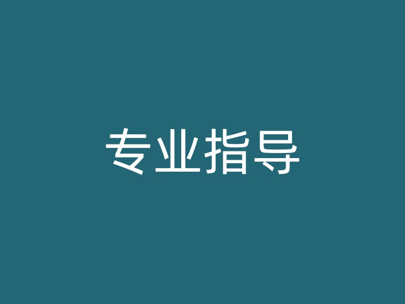 专业指导